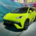 Electric Vehicle Trends 2025: What Professionals and Consumers Need to Know